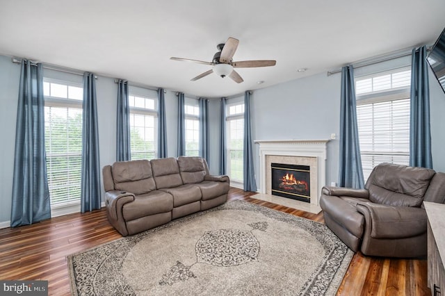 5606 Joshua Tree Cir, Fredericksburg, VA 22407 - living area featuring ceiling fan, plenty of natural light, wood finished floors, and a high end fireplace