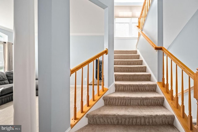 5606 Joshua Tree Cir, Fredericksburg, VA 22407 - staircase featuring carpet flooring