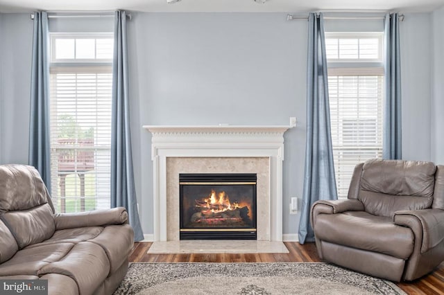 5606 Joshua Tree Cir, Fredericksburg, VA 22407 - living room featuring wood finished floors and a fireplace