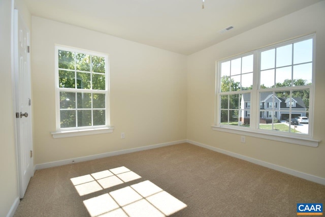 1193 Shenandoah Crossing Dr, Gordonsville, VA 22942 - carpeted spare room with baseboards, a wealth of natural light, and visible vents