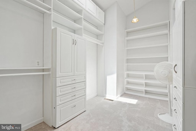 13013 Alum Springs Rd, Culpeper, VA 22701 - spacious closet featuring light colored carpet and lofted ceiling