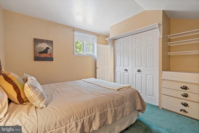 13013 Alum Springs Rd, Culpeper, VA 22701 - carpeted bedroom with a closet and vaulted ceiling