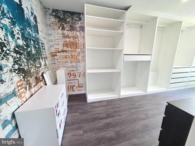9423 Reservoir Rd, Fredericksburg, VA 22407 - spacious closet with dark wood-style floors