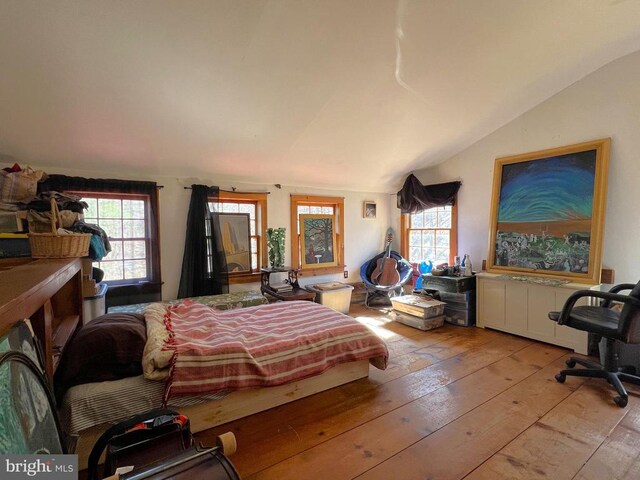 10 Ashby Rd, Sperryville, VA 22740 - bedroom featuring hardwood / wood-style floors and lofted ceiling