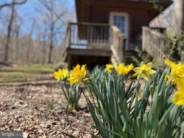 10 Ashby Rd, Sperryville, VA 22740 - exterior view