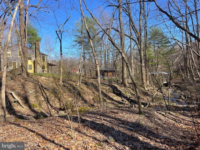10 Ashby Rd, Sperryville, VA 22740 - view of yard