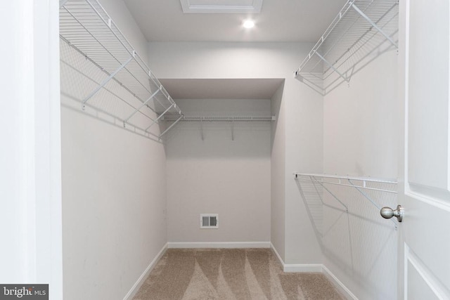 9003 Walnut Hill Rd, Fredericksburg, VA 22408 - walk in closet with carpet and attic access