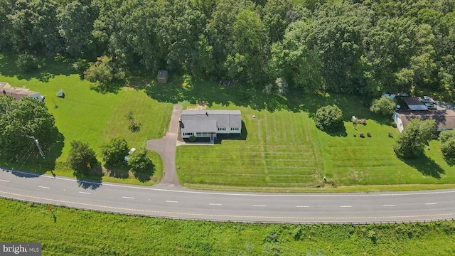 6632 James Monroe Hwy, Culpeper, VA 22701 - photo 6