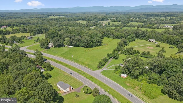 6632 James Monroe Hwy, Culpeper, VA 22701 - photo 9