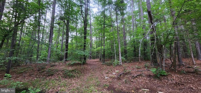272 Moon Shadow Ln, Louisa, VA 23093