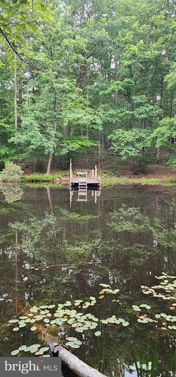 272 Moon Shadow Ln, Louisa, VA 23093