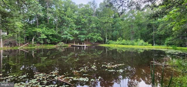 272 Moon Shadow Ln, Louisa, VA 23093