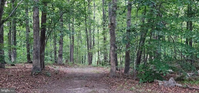 272 Moon Shadow Ln, Louisa, VA 23093