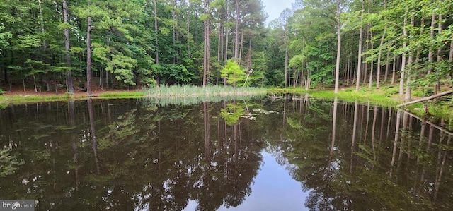 272 Moon Shadow Ln, Louisa, VA 23093