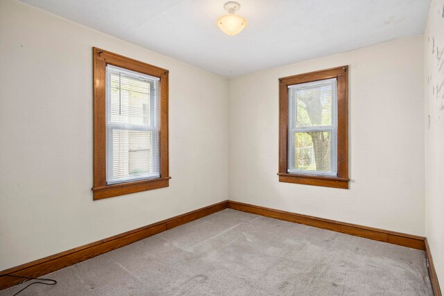 917 Chestnut Dr, Harrisonburg, VA 22801 - spare room with plenty of natural light, light carpet, and baseboards
