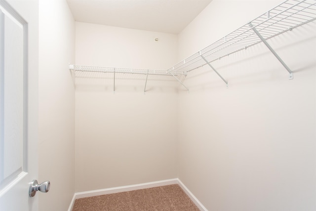 2958-1 Locust Grove Ct, Rockingham, VA 22801 - photo 11