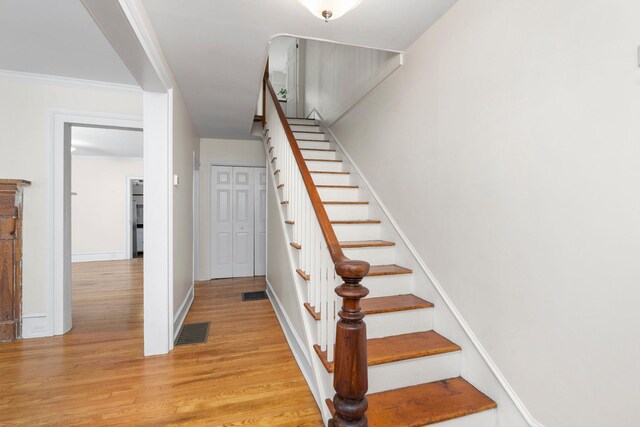 311 Lewis St, Staunton, VA 24401 - photo 10