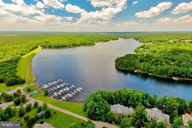 11304 Chivalry Chase Ln, Spotsylvania, VA 22551 - aerial view of a heavily wooded area and a nearby body of water