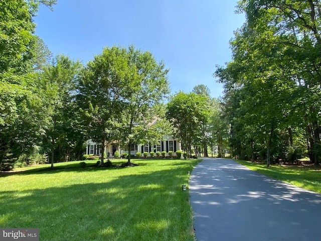 11304 Chivalry Chase Ln, Spotsylvania, VA 22551 - view of street