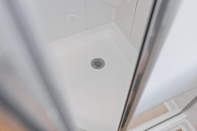 96 Featherstone Dr, Lyndhurst, VA 22952 - bathroom view of a shower