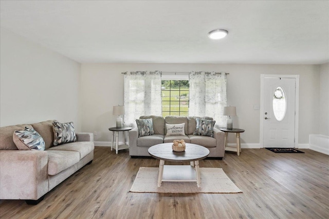 210 Jackson Ave, New Market, VA 22844 - living room with wood finished floors and baseboards