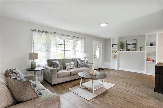 210 Jackson Ave, New Market, VA 22844 - living area featuring wood finished floors, built in shelves, and baseboards