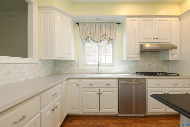 kitchen featuring stainless steel appliances, a sink, and white cabinetry