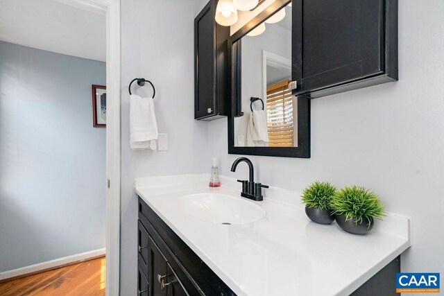16 Chestnut Ln, Wintergreen Resort, VA 22967 - bathroom with wood finished floors and vanity
