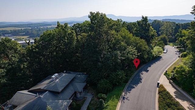 171 Diamond Ct, Harrisonburg, VA 22801