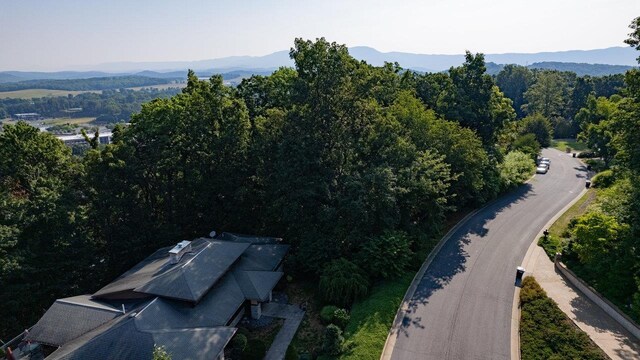 171 Diamond Ct, Harrisonburg, VA 22801