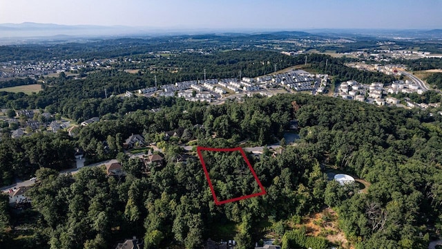 171 Diamond Ct, Harrisonburg, VA 22801
