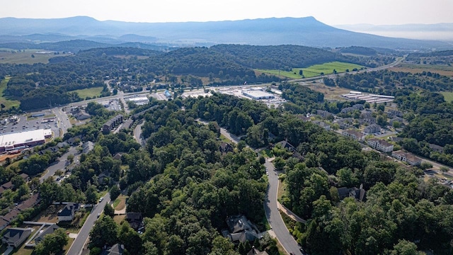 171 Diamond Ct, Harrisonburg, VA 22801