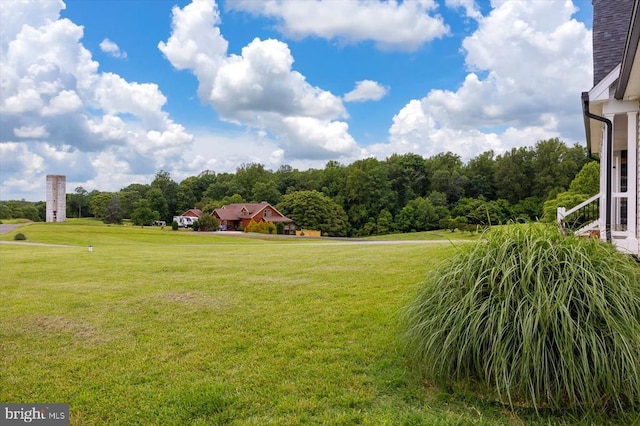 15411 Cedar Hill Dr, Mineral, VA 23117 - view of grassy yard