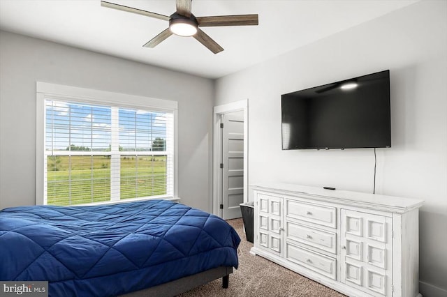 15411 Cedar Hill Dr, Mineral, VA 23117 - bedroom featuring carpet flooring and ceiling fan