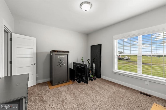 15411 Cedar Hill Dr, Mineral, VA 23117 - misc room featuring light colored carpet