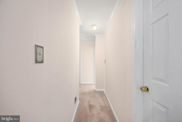 hall with baseboards, light colored carpet, and ornamental molding