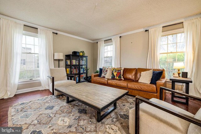 living area with wood finished floors, crown molding, a textured ceiling, and baseboards