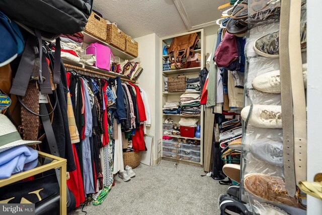 spacious closet with carpet flooring and attic access