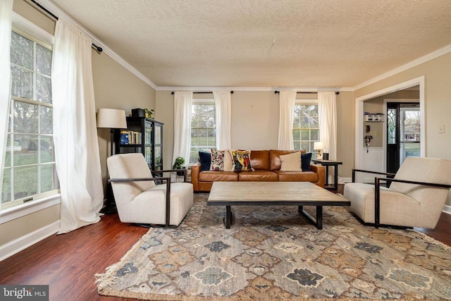 living room featuring wood finished floors, a textured ceiling, ornamental molding, plenty of natural light, and baseboards