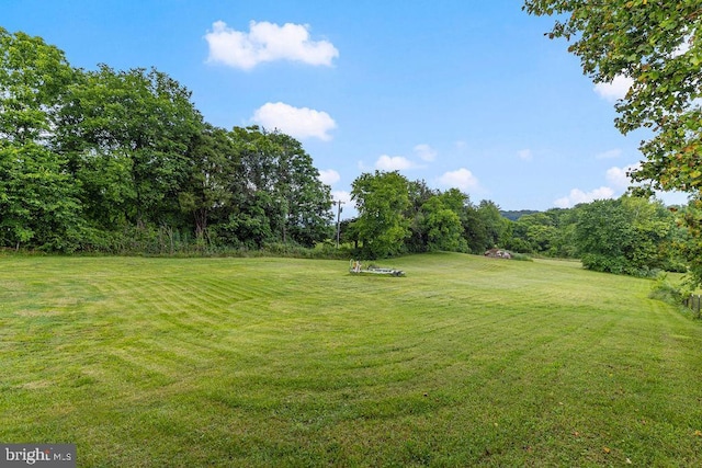 24011 Cedar Ridge Rd, Rapidan, VA 22733 - view of grassy yard