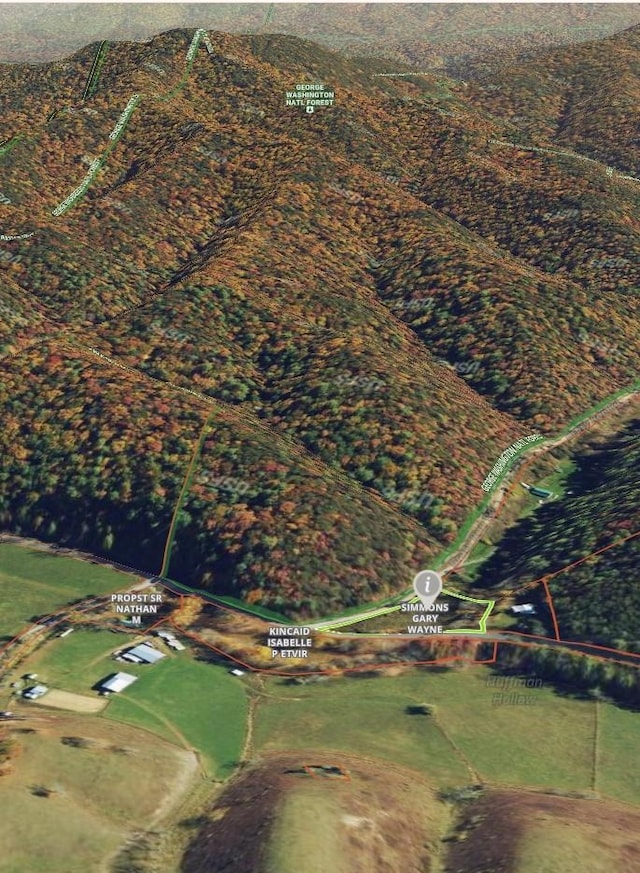 TBD Cowpasture River Rd N, Head Waters, VA 24442