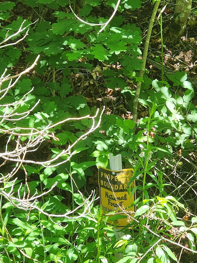TBD Cowpasture River Rd N, Head Waters, VA 24442