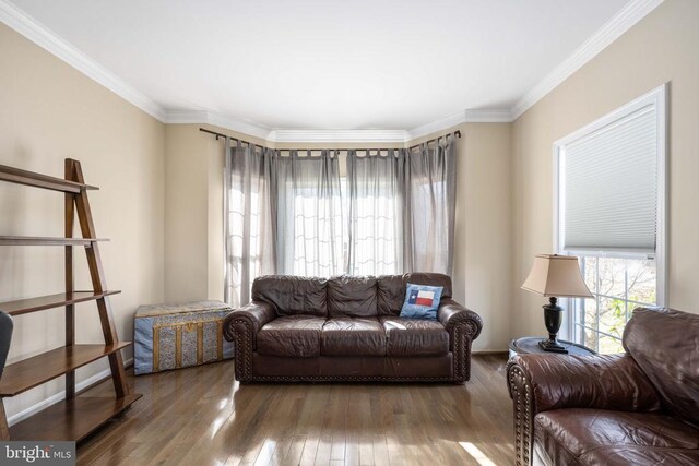 5819 Telluride Ln, Spotsylvania, VA 22553 - living area featuring wood finished floors and crown molding