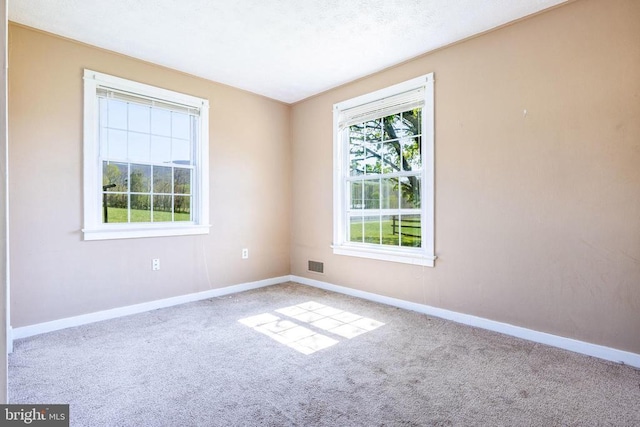 407 Kite Hollow Rd, Stanley, VA 22851 - carpeted spare room with baseboards