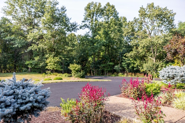 1003 Natural Chimneys Rd, Mount Solon, VA 22843 - exterior space