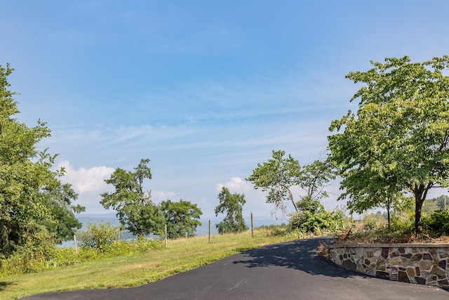 1003 Natural Chimneys Rd, Mount Solon, VA 22843 - view of street