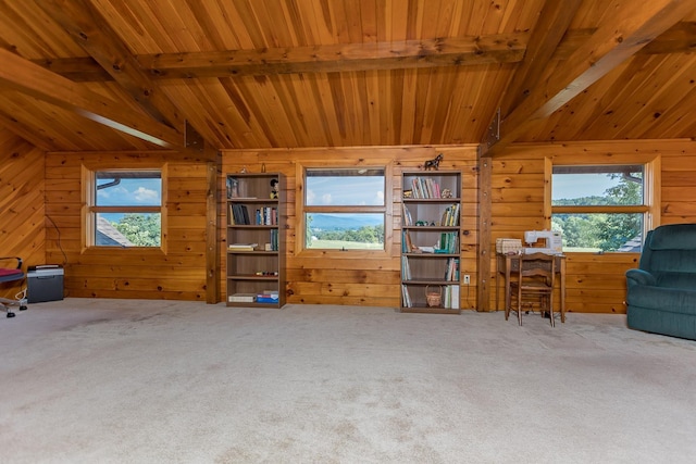 1003 Natural Chimneys Rd, Mount Solon, VA 22843 - interior space with wood walls and plenty of natural light