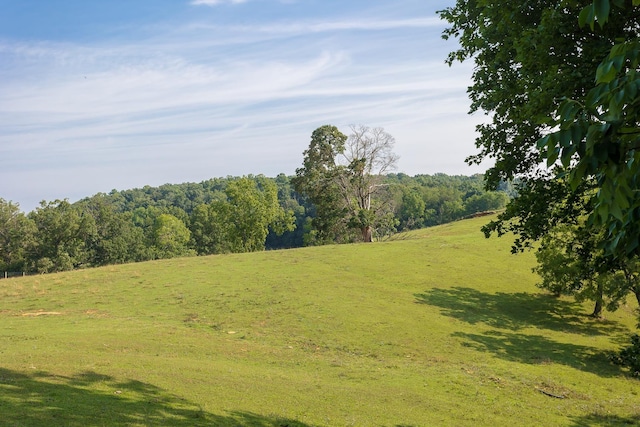 1003 Natural Chimneys Rd, Mount Solon, VA 22843 - view of landscape with a rural view and a view of trees