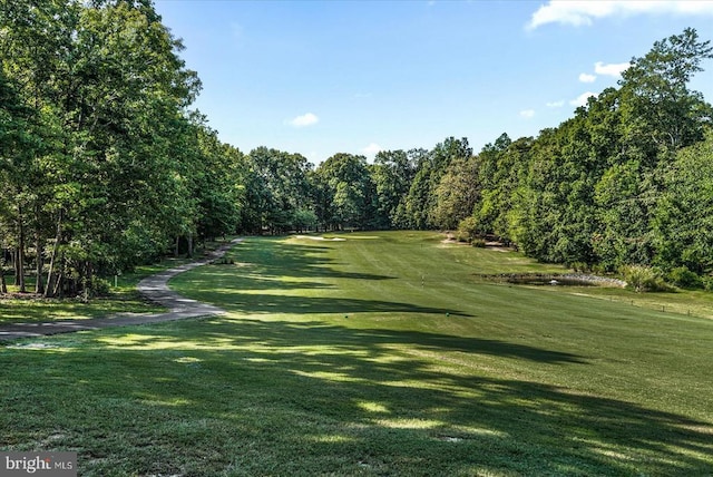 137 Eagle Ct, Locust Grove, VA 22508 - photo 4
