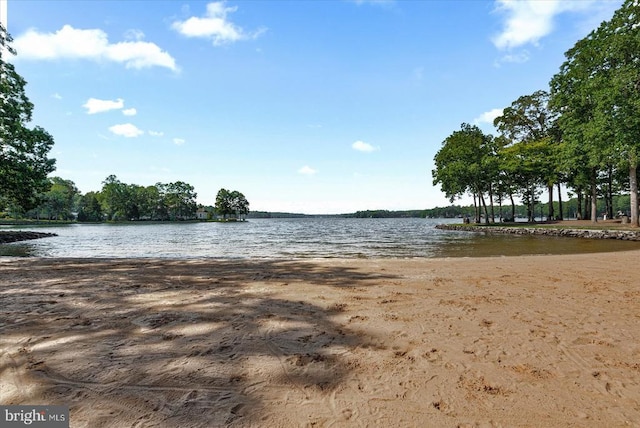 137 Eagle Ct, Locust Grove, VA 22508 - photo 44